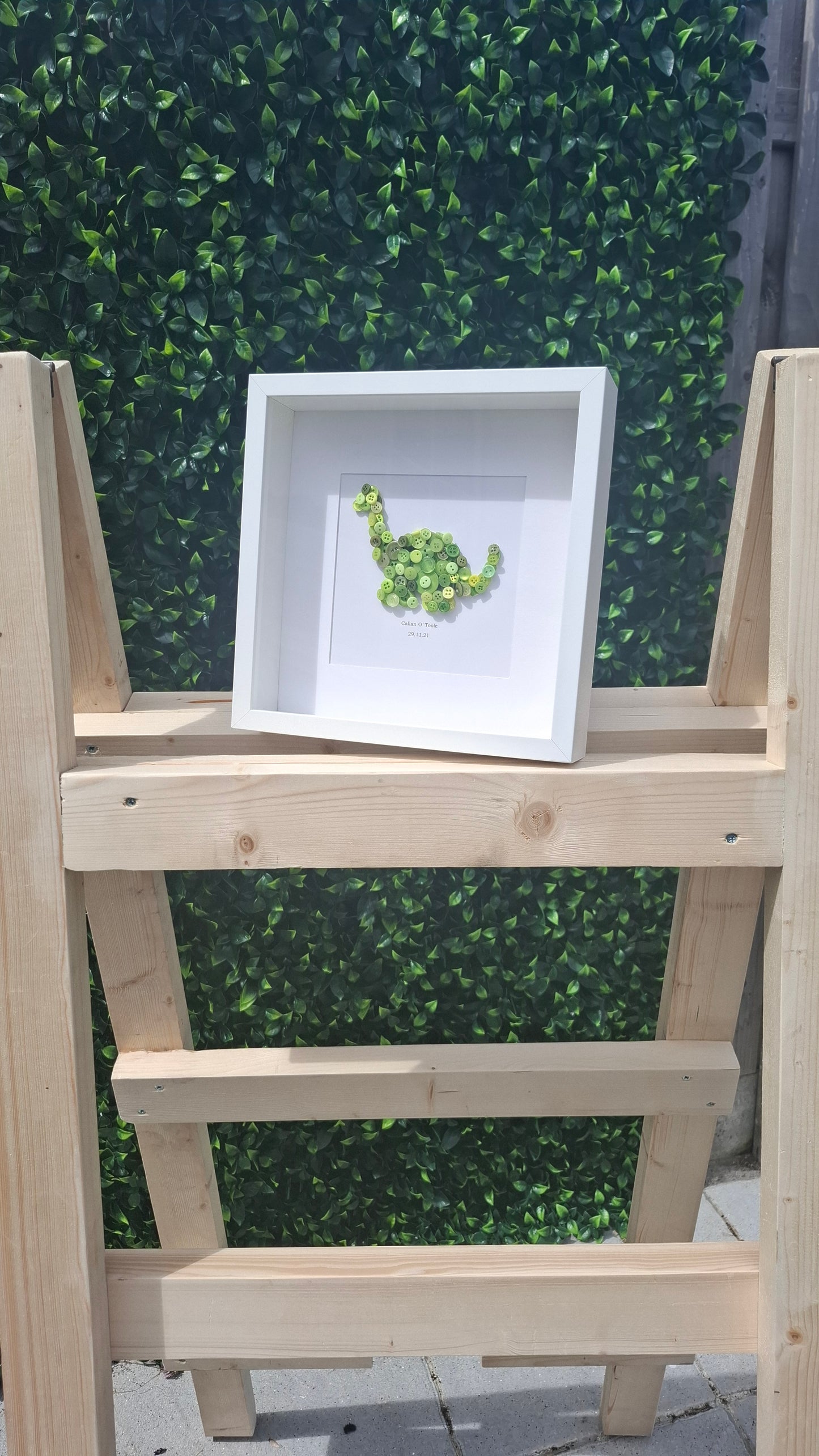 Dinosaur frame